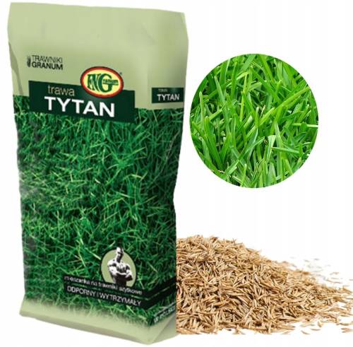 46a590b3495697ac00d92ab56061