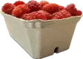 IMG_2431.PNG