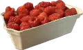 IMG_2435.PNG