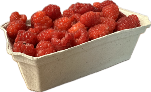 POJEMNIKI NA OWOCE MALINY 200g / 990 szt  