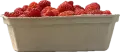 IMG_2439.PNG